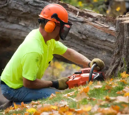 tree services Watchtower